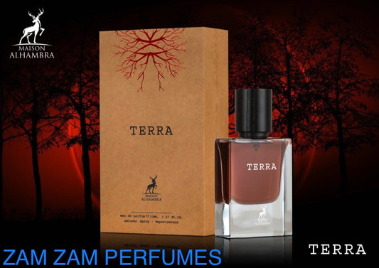 TERRA HOMME EDP 50ML